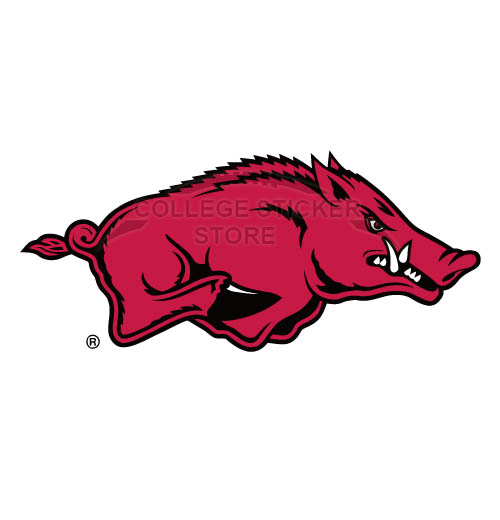 Customs Arkansas Razorbacks 2001 Pres Primary Iron-on Transfers (Wall Stickers)NO.3747